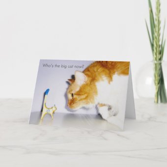 Congrats on Promotion - Humorous Cat Card | Zazzle