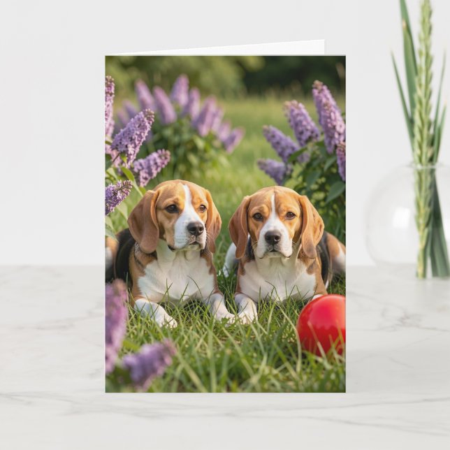 Congrats on Your New Beagles | Congratulations Card (Front)