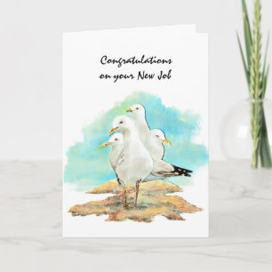Congratulation New Job From Gang Seagulls, birds Card