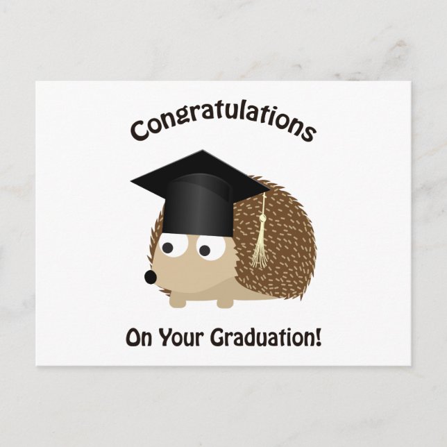Congratulation on Your Graduation Hedgehog Announcement Postcard (Front)