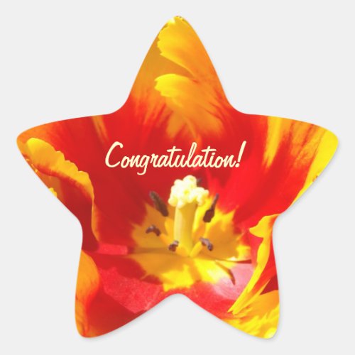 Congratulation stickers Red Yellow Tulip Flowers