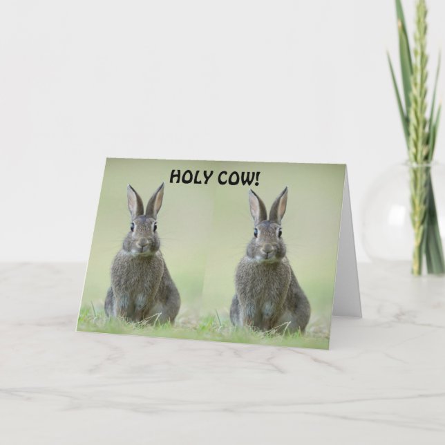 **CONGRATULATION TO COLLEGE GRADUATE** CARD (Front)