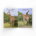 Congratulations Anniversary Giraffes Card