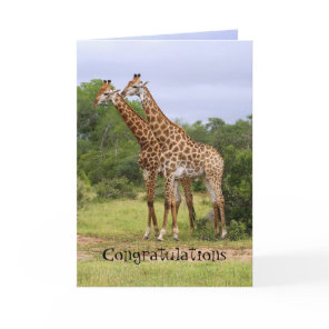 Congratulations Anniversary Giraffes Card
