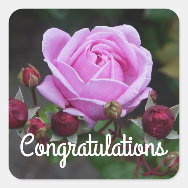 Congratulations Bishop’s Castle Rose#1 Stickers (Front)