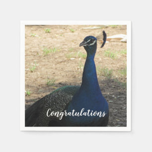 Congratulations Blue Proud Peacock Photo Bird Napkins