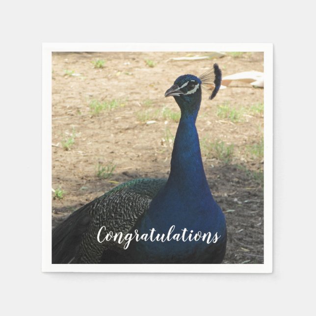 Congratulations Blue Proud Peacock Photo Bird Napkins (Front)