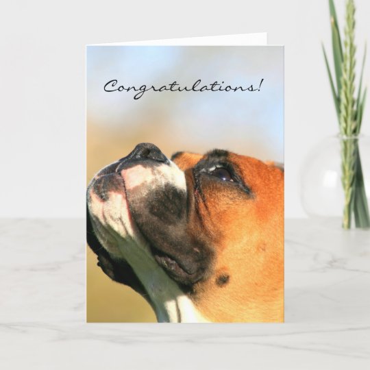 Congratulations Boxer Dog Greeting Card | Zazzle.com