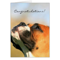 Congratulations Boxer Dog Greeting Card