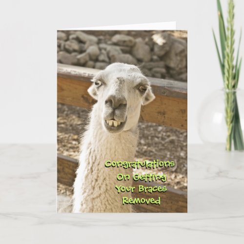 Congratulations Braces Off Llama Card