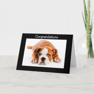 Congratulations Bulldog Greeting Card