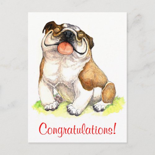 Congratulations Bulldog Puppy Dog Postcard
