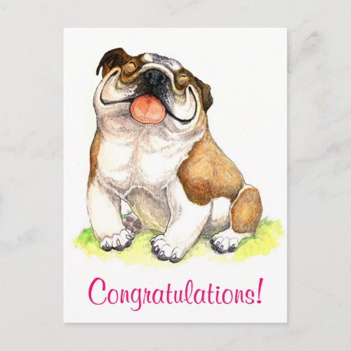 Congratulations Bulldog Puppy  Greeting Postcard