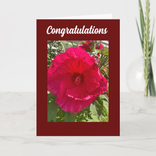 CONGRATULATIONS CARD