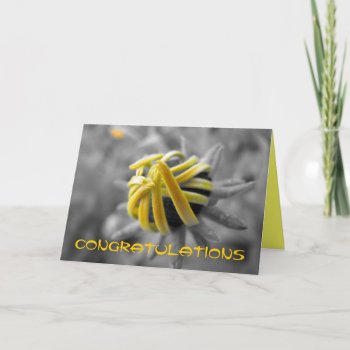 Congratulations Card by LivingLife at Zazzle