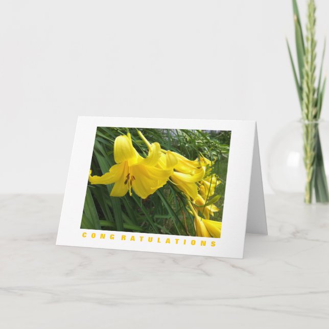 Congratulations Card: Daylilies, Yellow Card (Front)
