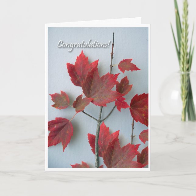 Congratulations Card With Autumn Maple Leaves (Front)