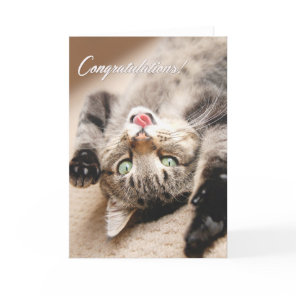 Congratulations Card with Happy Tabby Kitten