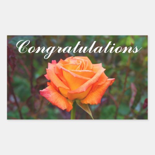 Congratulations Caribbean Rose 2 Stickers