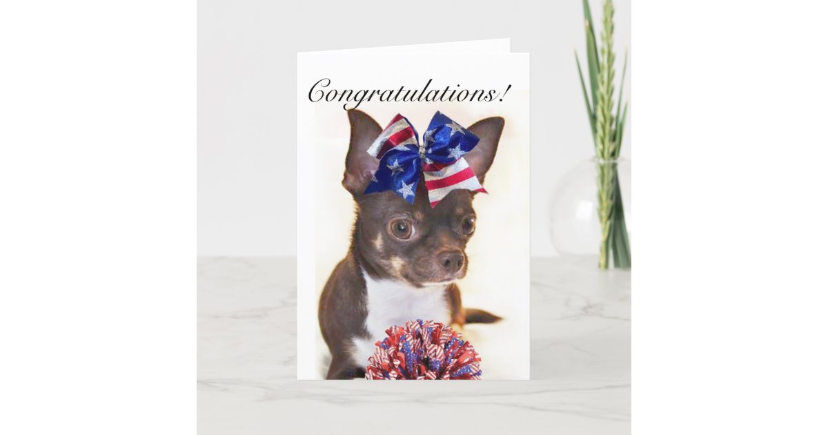 Congratulations Cheerleader chihuahua dog card | Zazzle