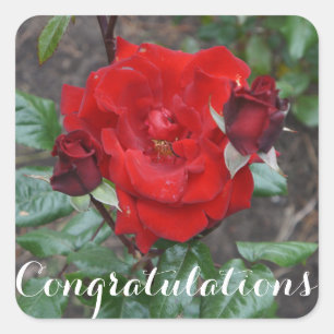 Congratulations Crimson Bouquet #1 Stickers