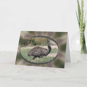 Congratulations-customize Card