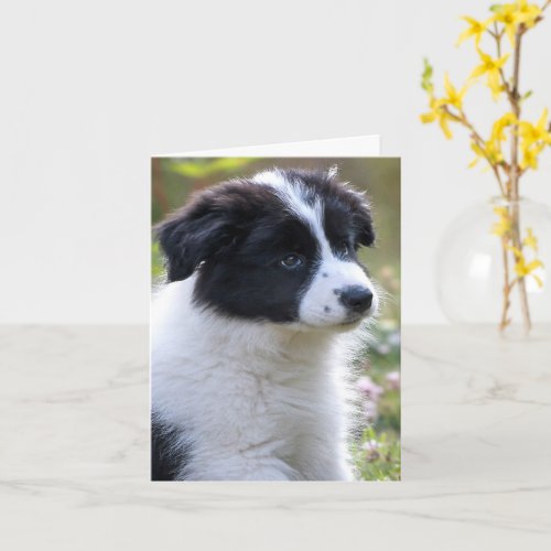 Congratulations Cute Puppy Card
