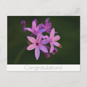 Congratulations Flowers Postcard