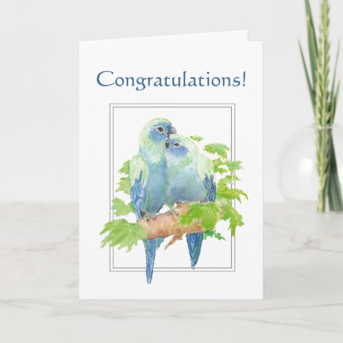 Congratulations for Couple with Cute Parrot Card