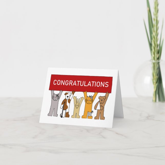 Congratulations for Vet Pets in Bandages Card (Front)