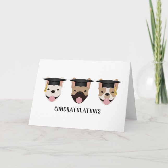 Congratulations French Bulldogs Card (Front)