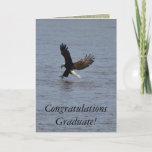 Congratulations Graduate ~ Bald Eagle Card