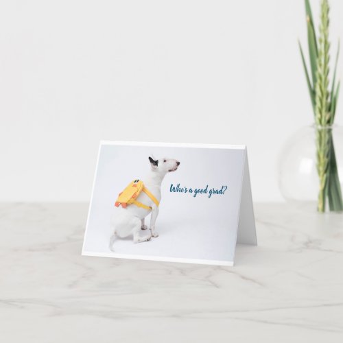 Congratulations Graduate Bull Terrier Funny Card