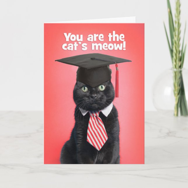 Congratulations Graduate Cat in Graduation Cap Holiday Card (Front)