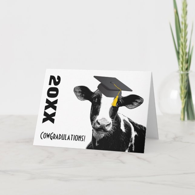 Congratulations Graduation Funny Cow in Cap Card (Front)
