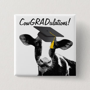 Congratulations Graduation Funny Cow in Cap Pinback Button