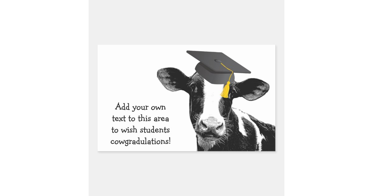 Congratulations Graduation Funny Cow in Cap Rectangular Sticker | Zazzle