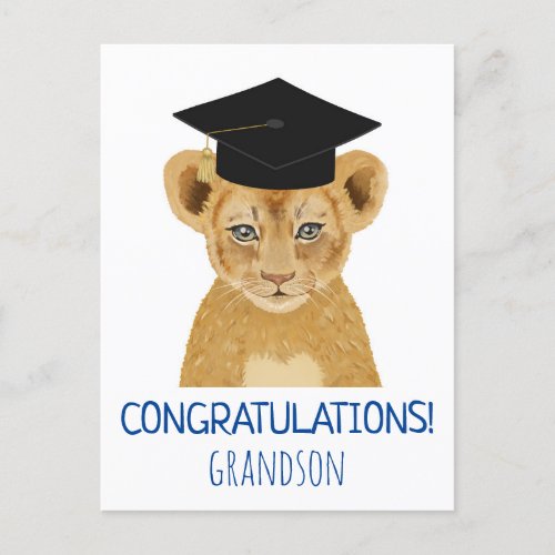 Congratulations Grandson Lion Cub Illustration  Postcard