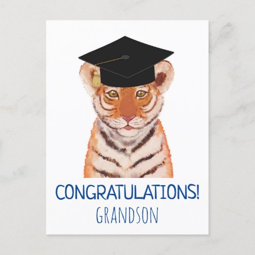 Congratulations Grandson Tiger Cub Illustration  Postcard