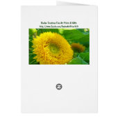 Congratulations! greeting Cards Summer Sunflowers (Back)