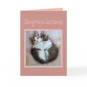 Congratulations Kittens in Love Card