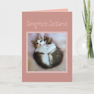Congratulations Kittens in Love Card