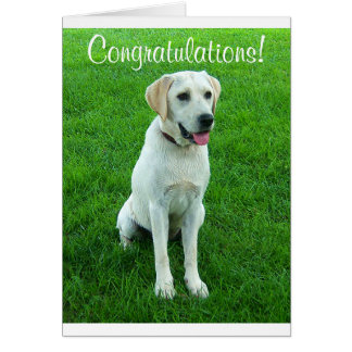 Congratulations On Your New Puppy Cards, Congratulations On Your New ...