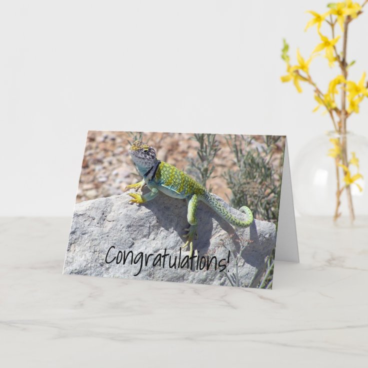 Congratulations Lizard Congratulations Lizard Sunbathing Add Your Photo Card | Zazzle