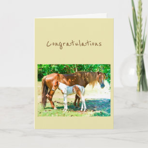Congratulations New Addition Baby Horse Foal Card
