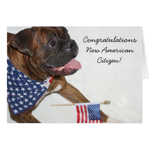 Congratulations New American Citizen boxer card | Zazzle