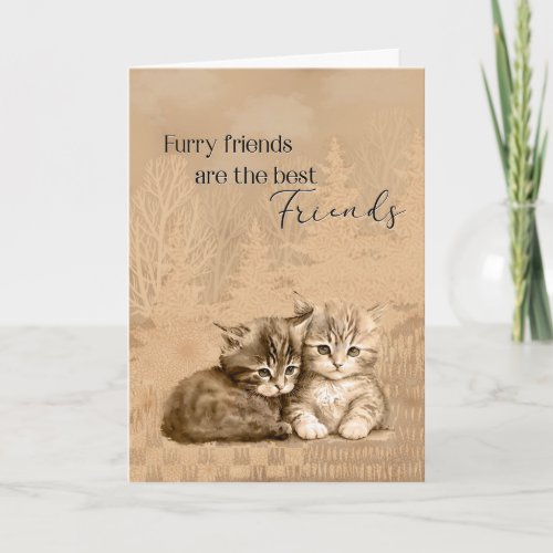 Congratulations New Cat or Kitten Furry Friends Card