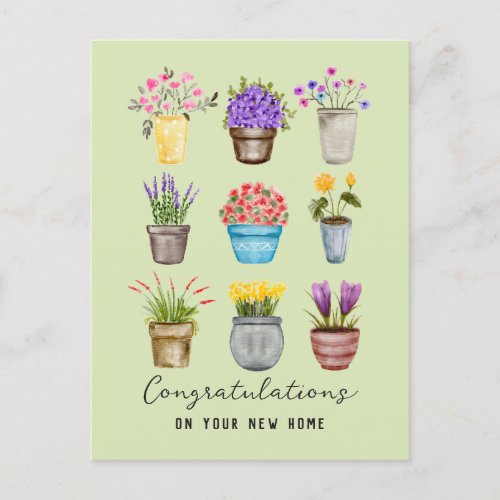 Congratulations New Home Cute Potted Flower Plants Postcard