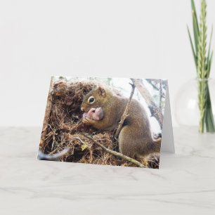 Congratulations New Mommy Baby Card