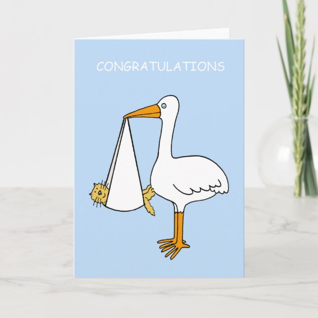 Congratulations New Pet Cat Kitten Cartoon Card (Front)